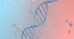 Useful Genetics Part 2 Genes and Genetic Inheritan...